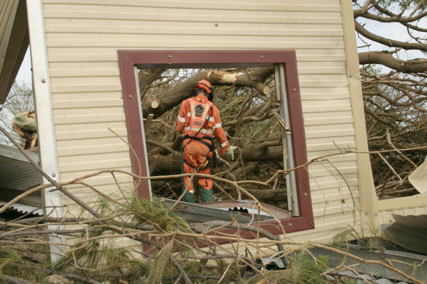 Best Utility Line Clearance  in Tuscarawas, OH